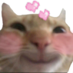 Shyseel's Avatar