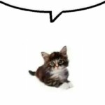 pupguts's Avatar