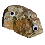 DnoDonnoe's Avatar