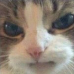 Faerie's Avatar